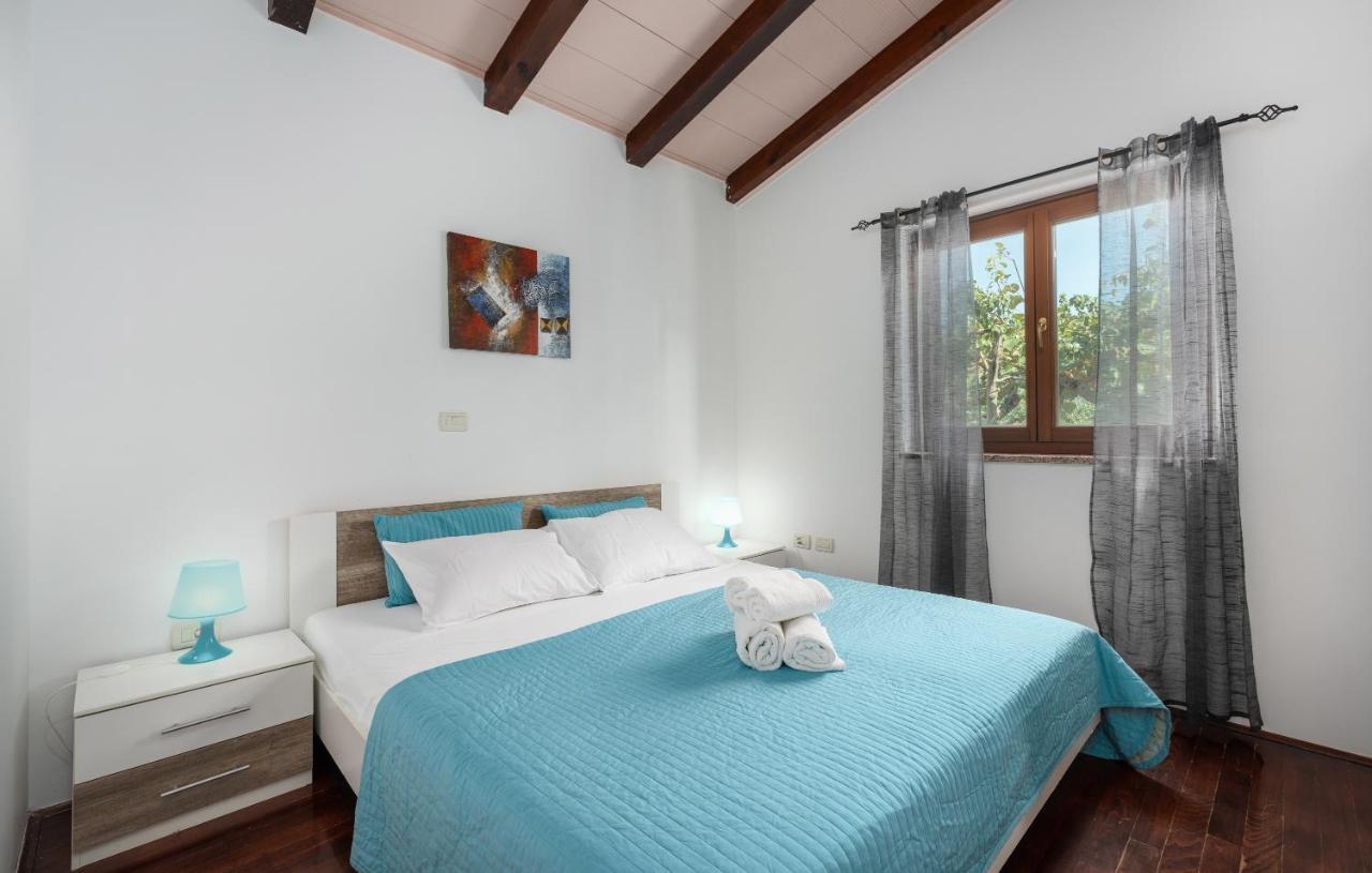 Villa Lucas Novigrad  Exterior photo